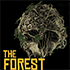 The Forest